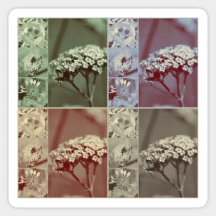 Vintage Retro Flower Collage Sticker